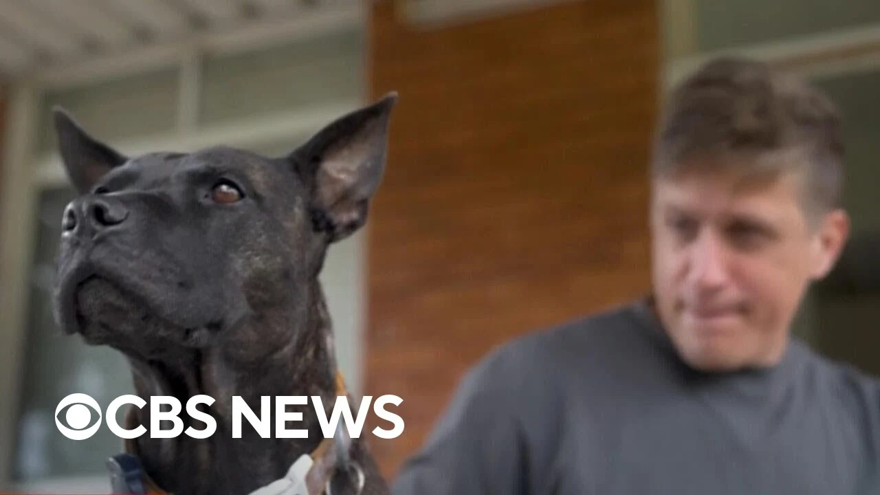 CBS News: Paul and Professor Thordarson on how the vaccine was made