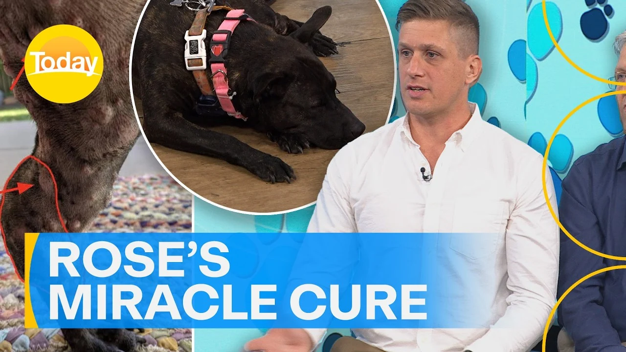 TODAY: Paul and Rosie on the morning show sofa